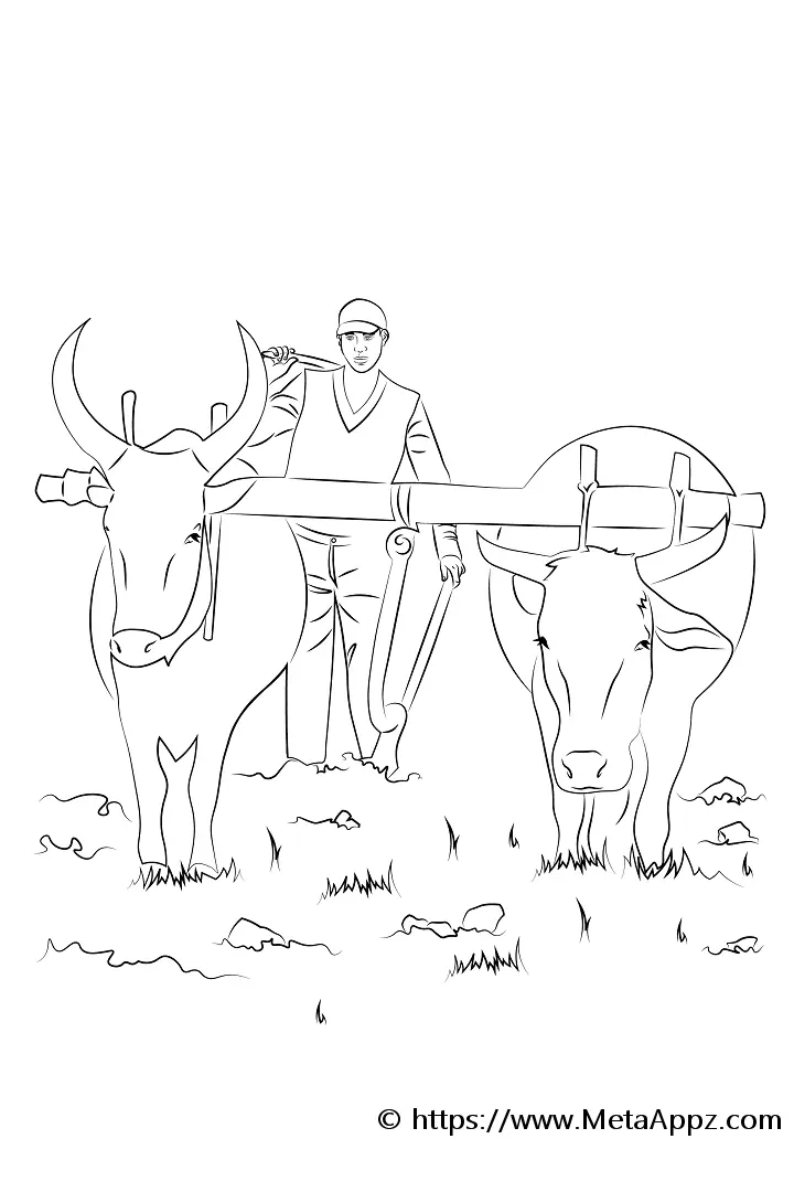 Traditional Farming